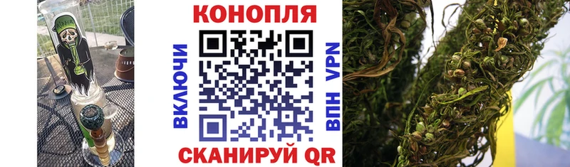 Бошки марихуана Amnesia  дарнет шоп  Белёв 